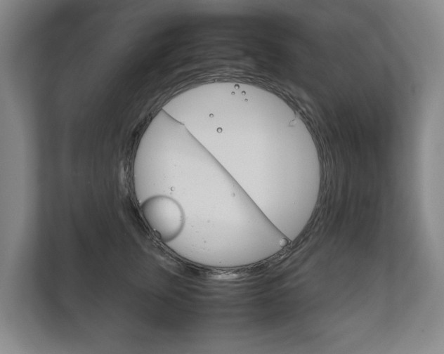 X0000111840759200907231039