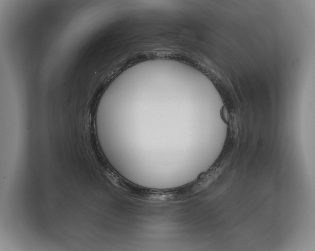 X0000111840760200907231039