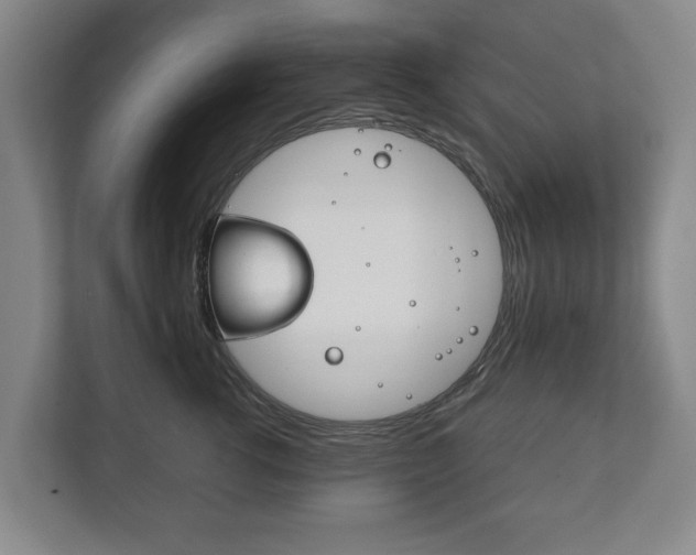 X0000111840762200907231039