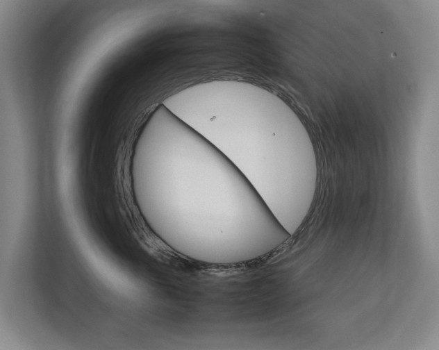 X0000111840763200907231039