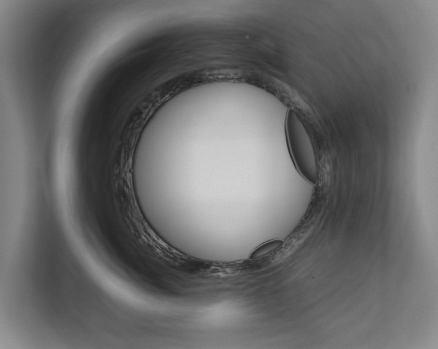 X0000111840764200907231039
