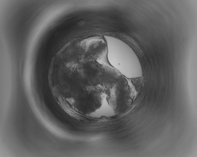 X0000111840765200907231039
