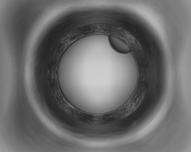 X0000111840766200907231039