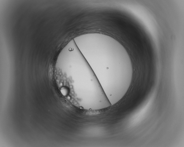 X0000111840767200907231039