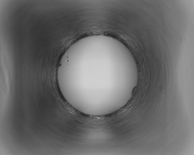 X0000111840768200907231039