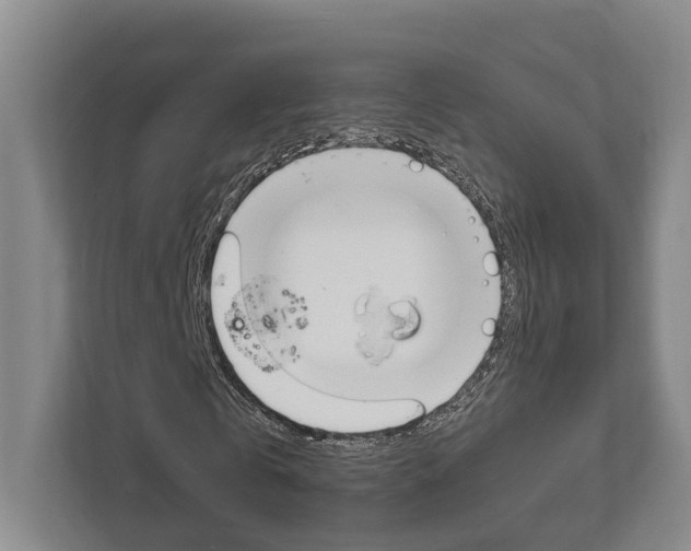 X0000111840769200907231038