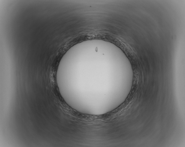 X0000111840770200907231038