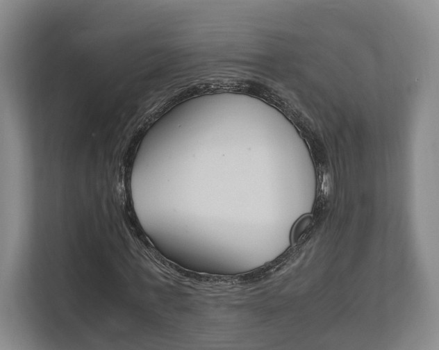 X0000111840771200907231038