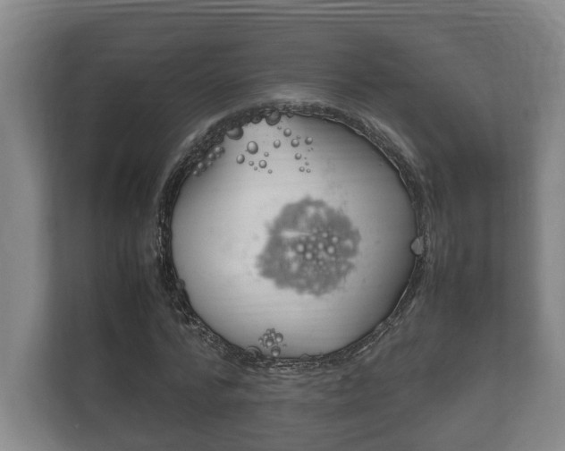 X0000111840776200907231038
