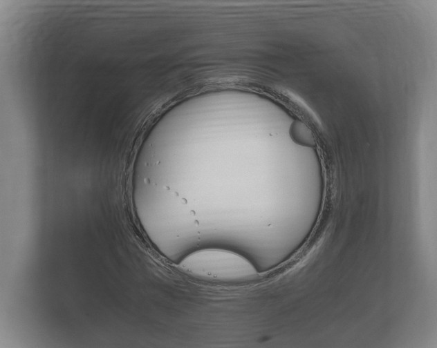 X0000111840777200907231038