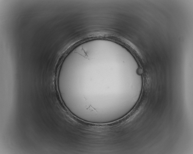 X0000111840778200907231038