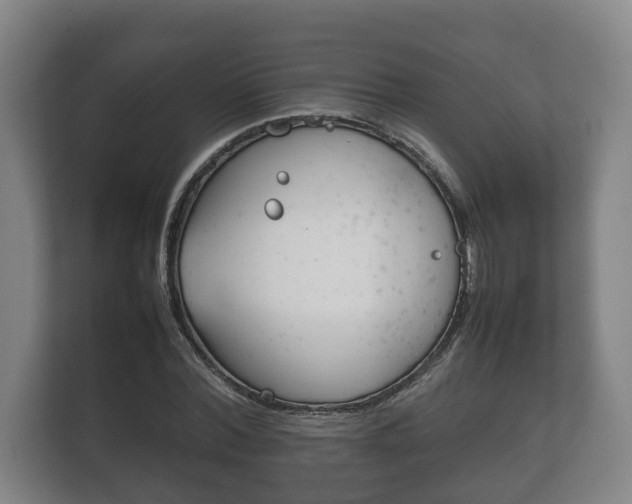 X0000111840780200907231038