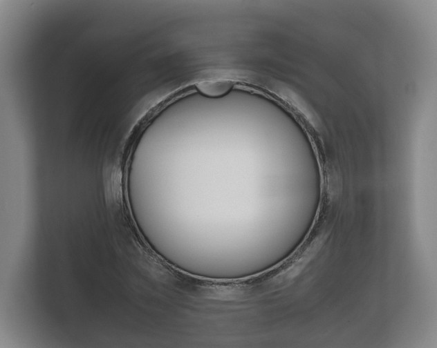 X0000111840781200907231038