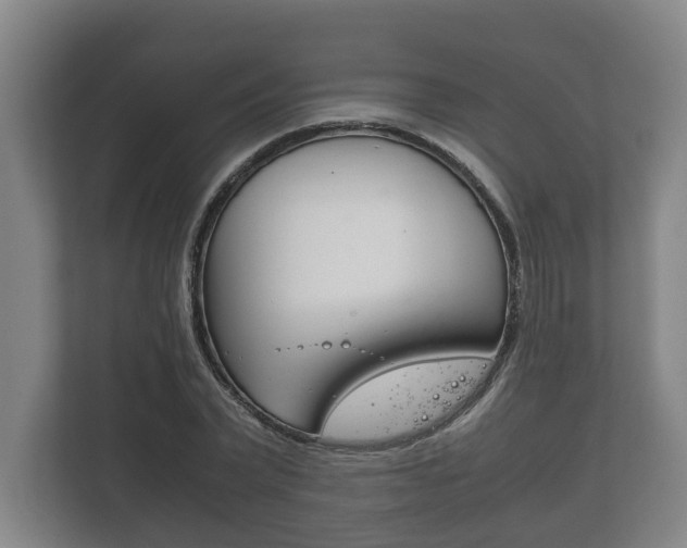 X0000111840783200907231038