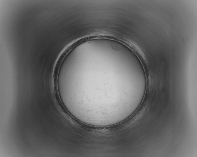 X0000111840784200907231038