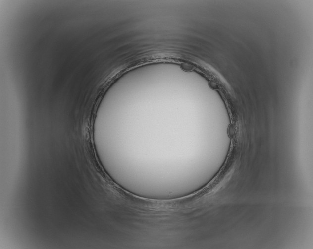 X0000111840785200907231038