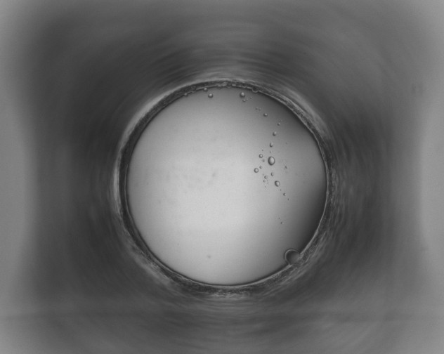 X0000111840788200907231038