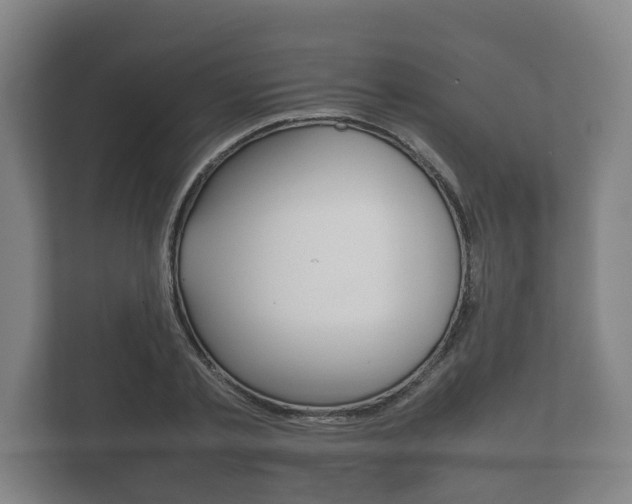 X0000111840789200907231038