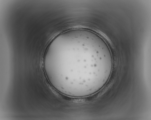 X0000111840793200907231038