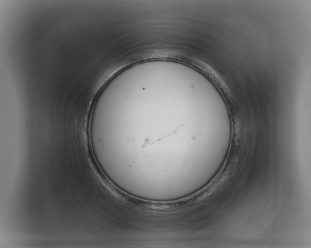 X0000111840794200907231038