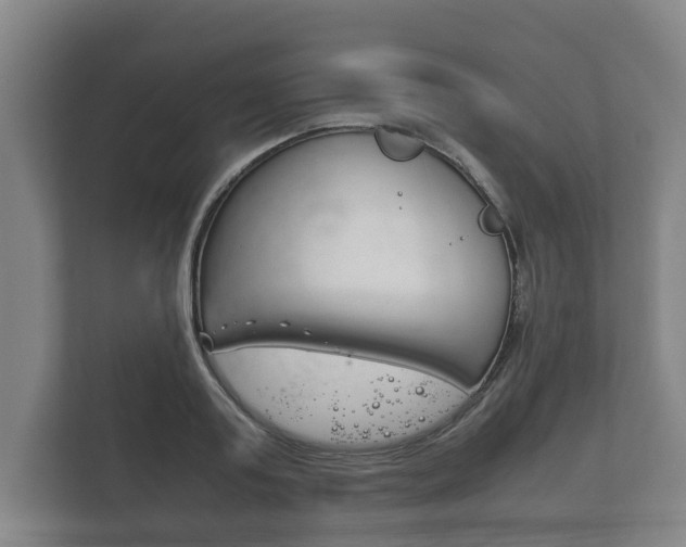 X0000111840795200907231038