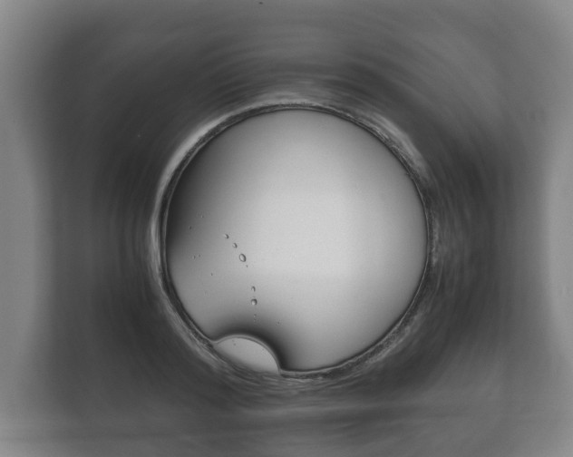 X0000111840796200907231038