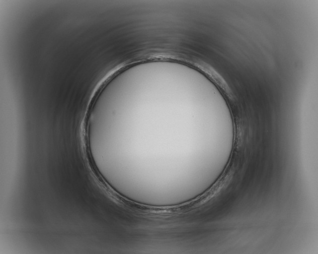 X0000111840798200907231038