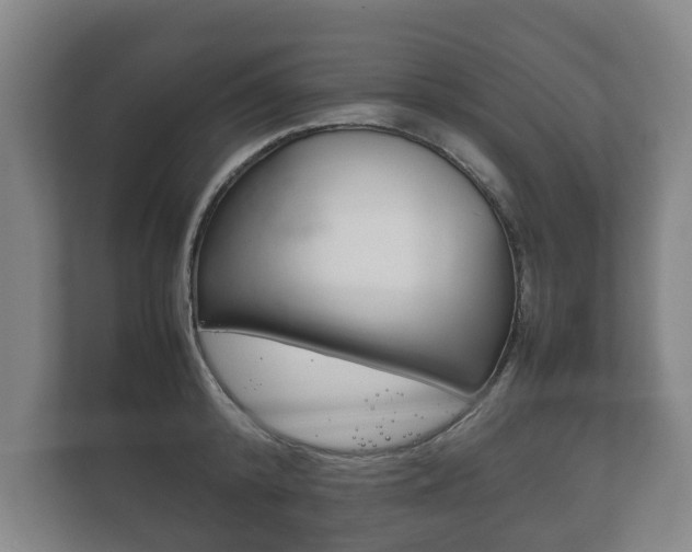 X0000111840800200907231038