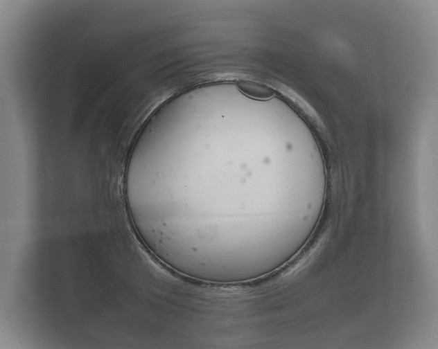 X0000111840801200907231038