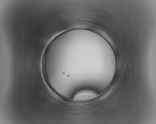 X0000111840803200907231038