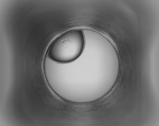 X0000111840805200907231038