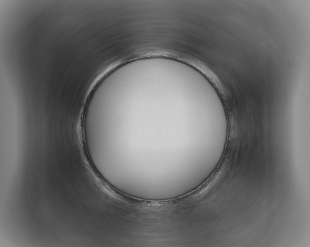 X0000111840806200907231038