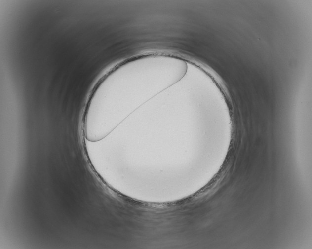 X0000111840807200907231038