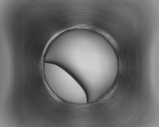 X0000111840808200907231038