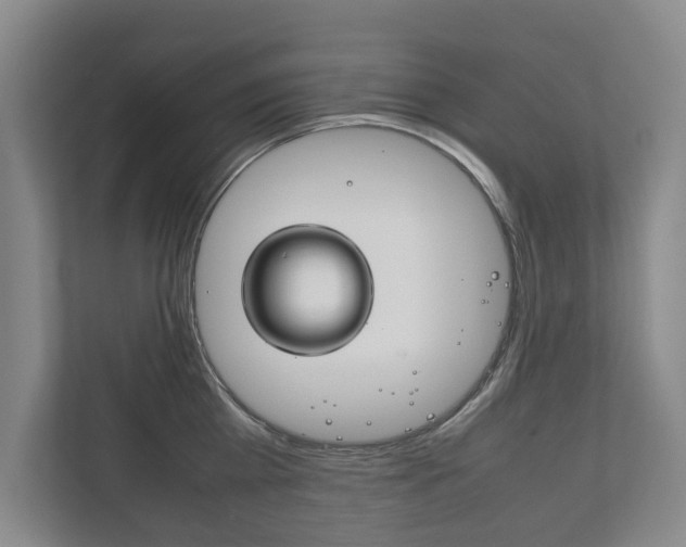X0000111840809200907231038