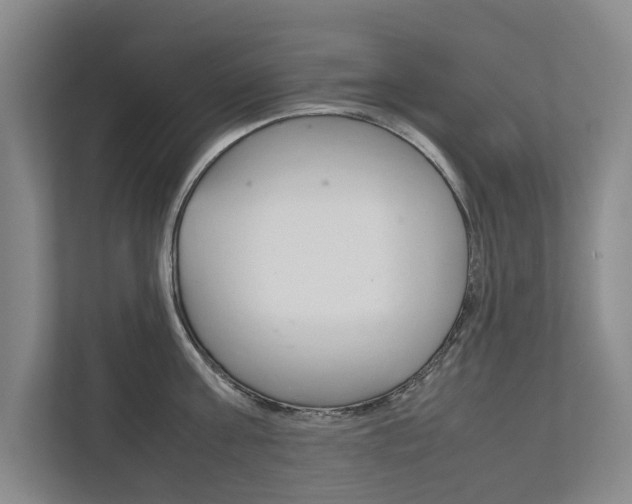 X0000111840811200907231038