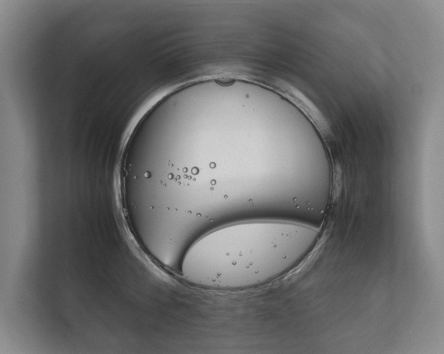 X0000111840812200907231038