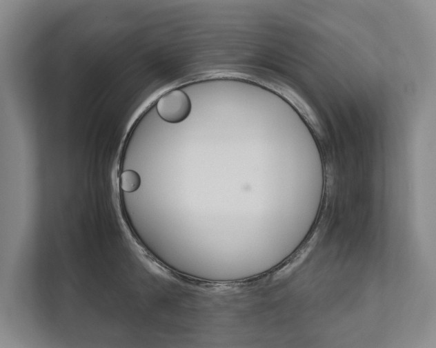 X0000111840814200907231038