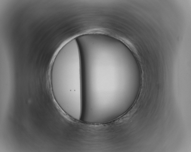X0000111840816200907231038