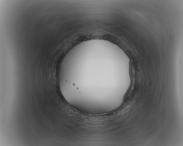 X0000111840818200907231037