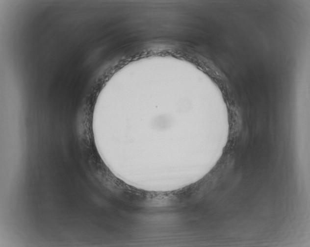 X0000111840824200907231037