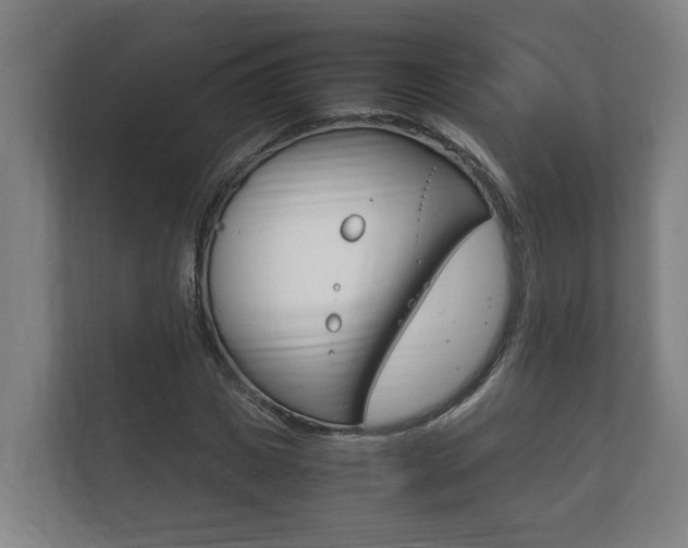 X0000111840825200907231037