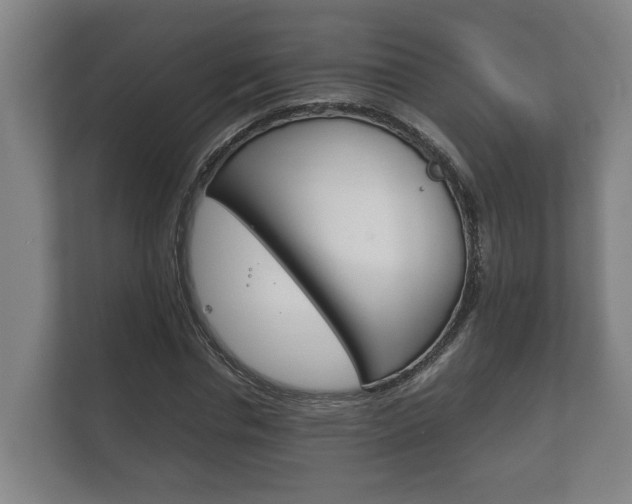 X0000111840826200907231037