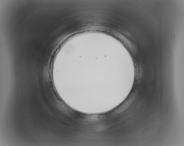 X0000111840828200907231037