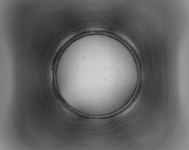 X0000111840829200907231037