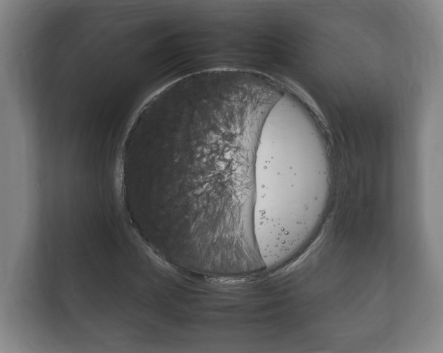 X0000111840831200907231037