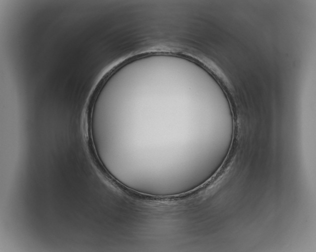 X0000111840838200907231037