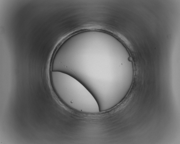 X0000111840840200907231037