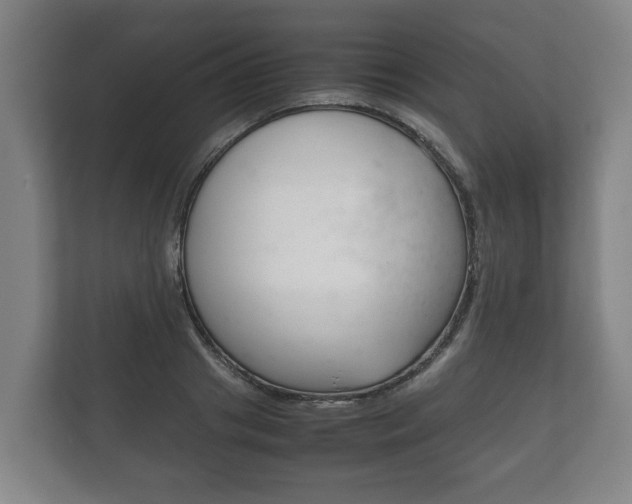 X0000111840841200907231037