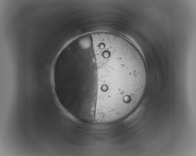 X0000111840843200907231037